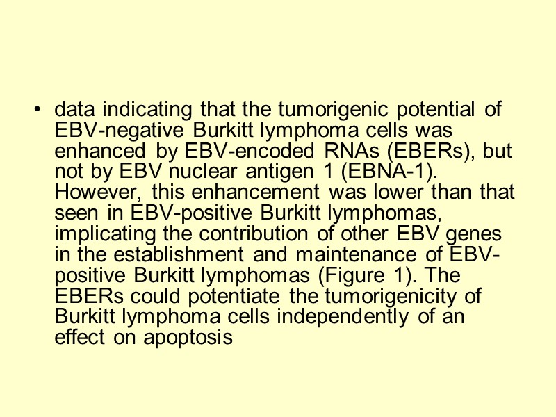 data indicating that the tumorigenic potential of EBV-negative Burkitt lymphoma cells was enhanced by